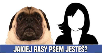 jakiej-rasy-psem-jestes